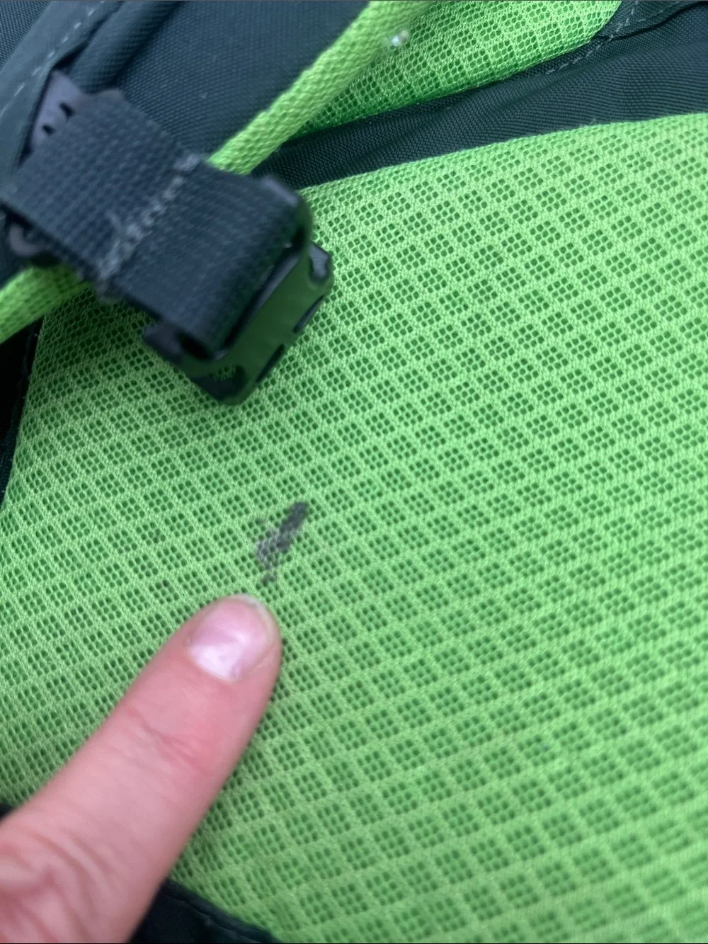Patagonia Chacabuco 32L Bright Green & Dark Gray Backpack Daypack Travel Bag
